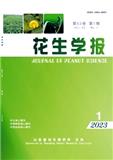 花生学报