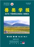 兽类学报