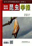 昆虫学报