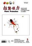 植物保护