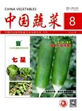 中国蔬菜