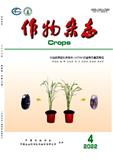 作物杂志