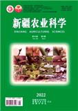 新疆农业科学