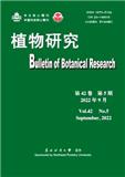 植物研究（原：木本植物研究）