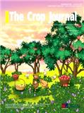 作物学报（英文版）（The Crop Journal）（不收版面费审稿费）