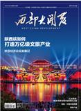 西部大开发