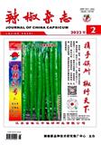 辣椒杂志