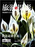 旅游与摄影