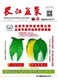 长江蔬菜
