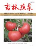 吉林蔬菜