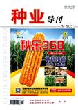 种业导刊