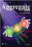 聚集体（英文）（Aggregate）（OA学术期刊）（国际刊号）